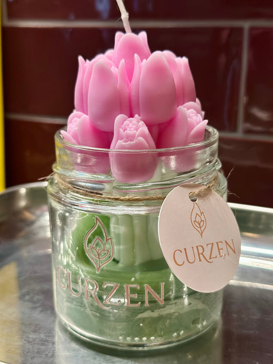 Tulip Bloom