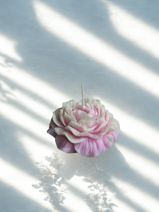POETIC PETAL